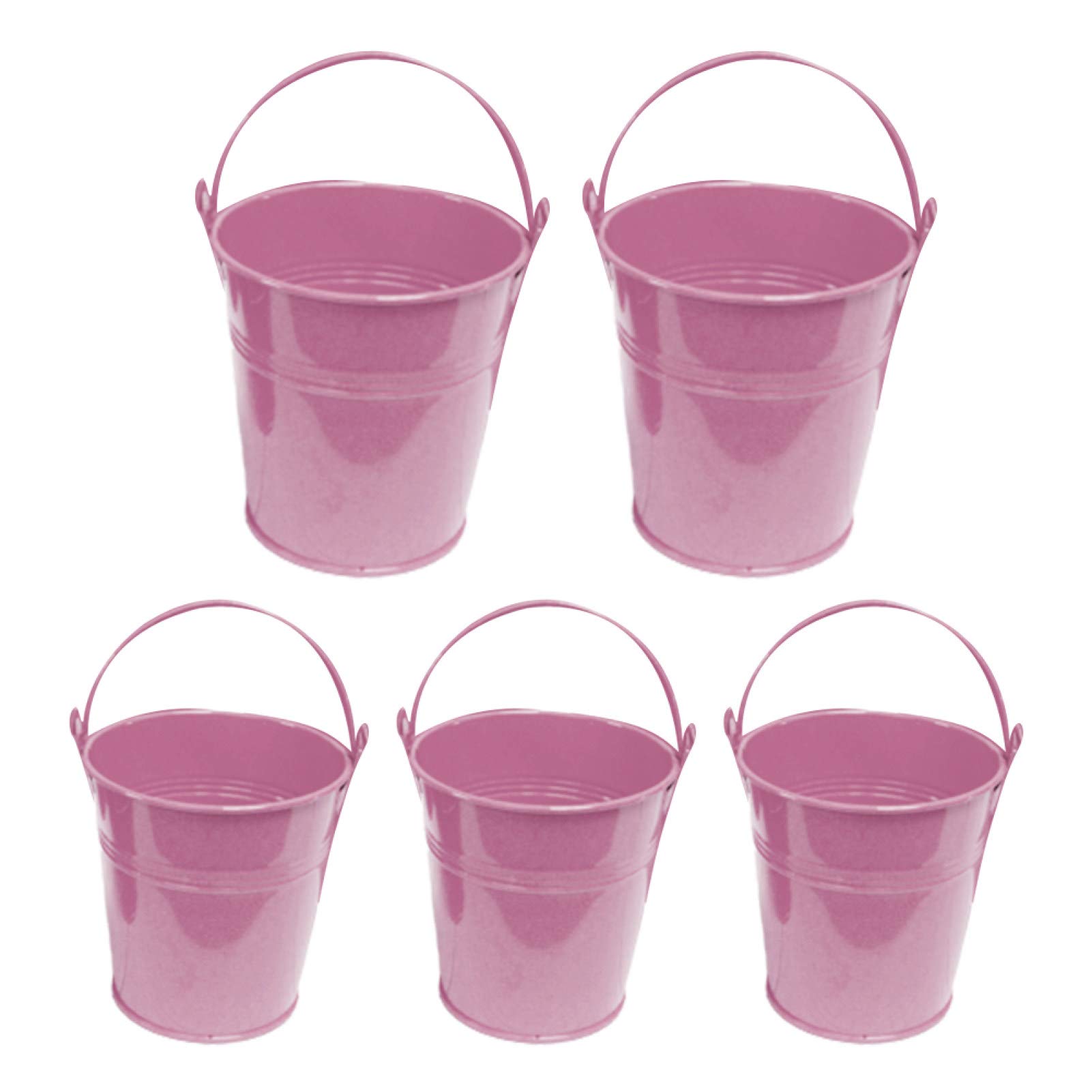 Qiguch66 Small Plant Pots - 5Pcs Mini Iron Potted Planters for Succulents, Flowers & Home Decor (Pink) | Perfect for Indoor Gardening, Office Desk Decor & Gift Giving