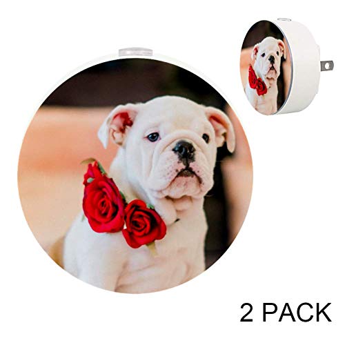 Cute Bulldog with Red Roses Plug-in LED Night Light - Auto On/Off Dusk to Dawn Sensor, Energy Saving - Perfect for Nursery, Bedroom, Hallway & Gift