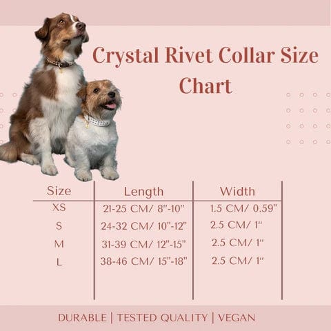 Vegan Leather Rhinestone Dog Collar | Piñatex® Eco-Friendly Grey Luxury Pet Accessory for Small & Medium Dogs - Perfect for Daily Walks & Special Occasions