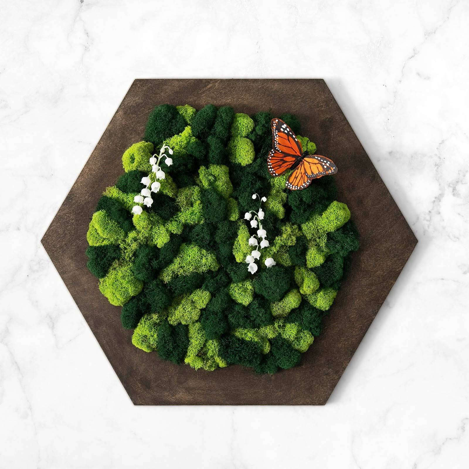 Hexagon Slim Collection - Stylish & Durable Geometric Design for Home Decor, Office Accessories & Gift Giving