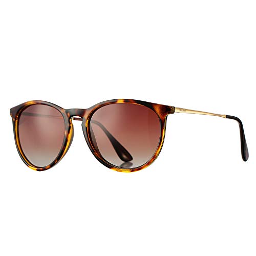 Tortoise; Gold/Brown Gradient - Without Logo