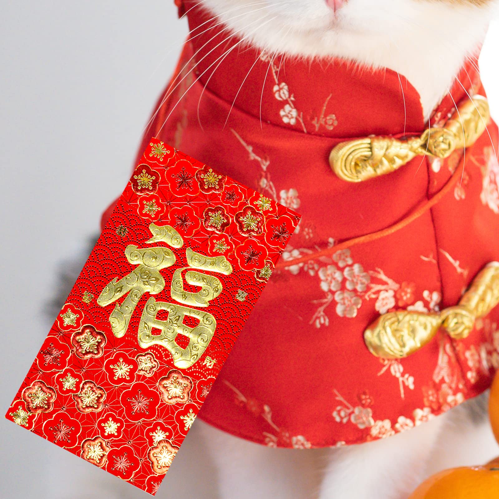 120 Pcs Chinese Red Envelopes - 6 Lucky Money Designs for Lunar New Year, Weddings & Birthdays | Hong Bao, Lai See Packets | Year of the Snake 2025 | Perfect for Gifting Cash in Festive Celebrations