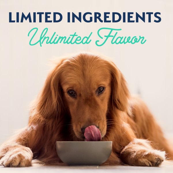Natural Balance Limited Ingredient Chicken & Sweet Potato Recipe Canned Dog Food - Grain-Free Wet Food for Dogs with Sensitive Stomachs - Perfect for Mealtime & Digestive Health Support