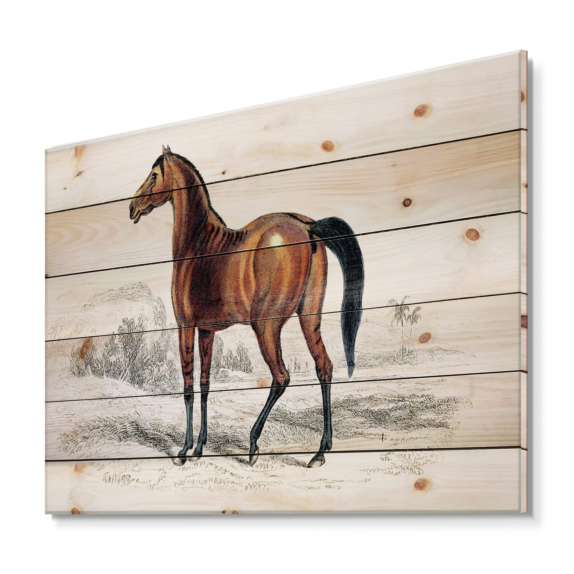 Vintage Horse Farmhouse Wood Wall Decor - Brown Wooden Wall Art with Large Animal Prints on Natural Pine - Perfect for Living Room, Bedroom, or Country Style Home Decor