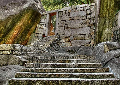 20x30 Inch Laminated Staircase Wall Art Poster - Vibrant Colors & High-Quality Print - Perfect for Home Decor, Living Room, Bedroom or Office - Fits Standard Picture Frames