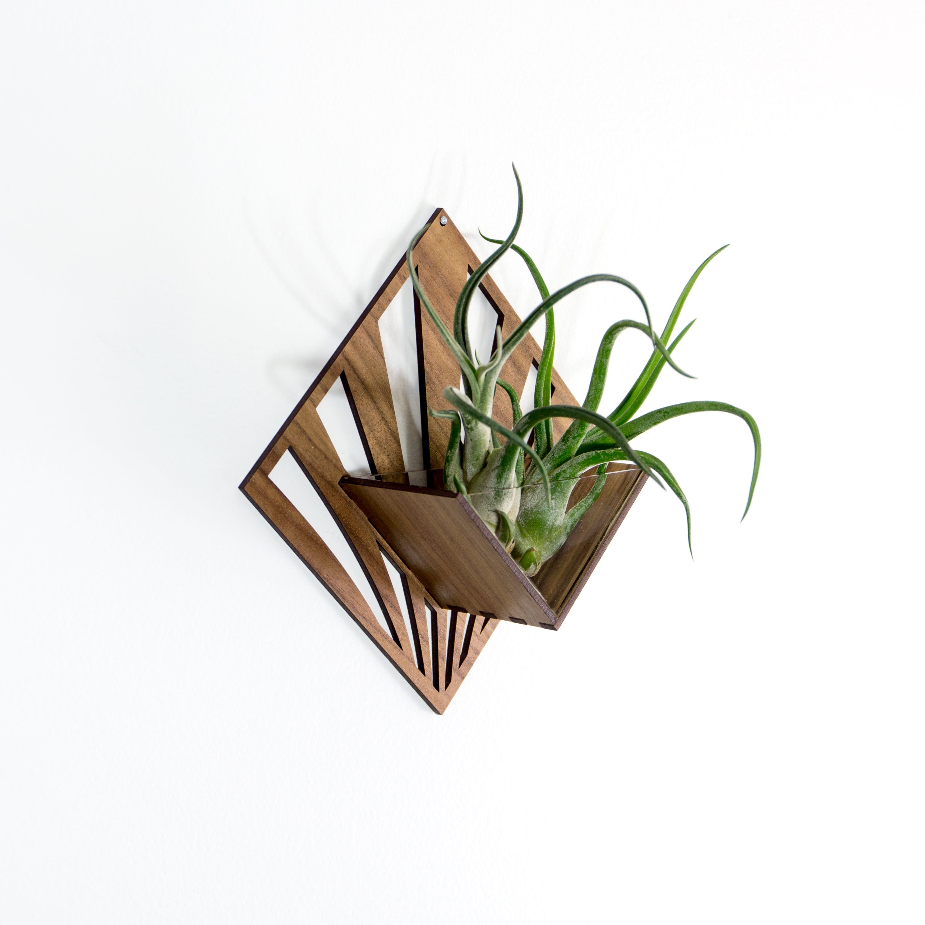 Handmade Wooden Quadrate Wall Planter Set of 2 - Air Plant Holder & Mounted Hanger Display for Tillandsia | Rustic Home Decor, Unique Plant Lover Gift Idea for Living Room, Bedroom or Office Decor