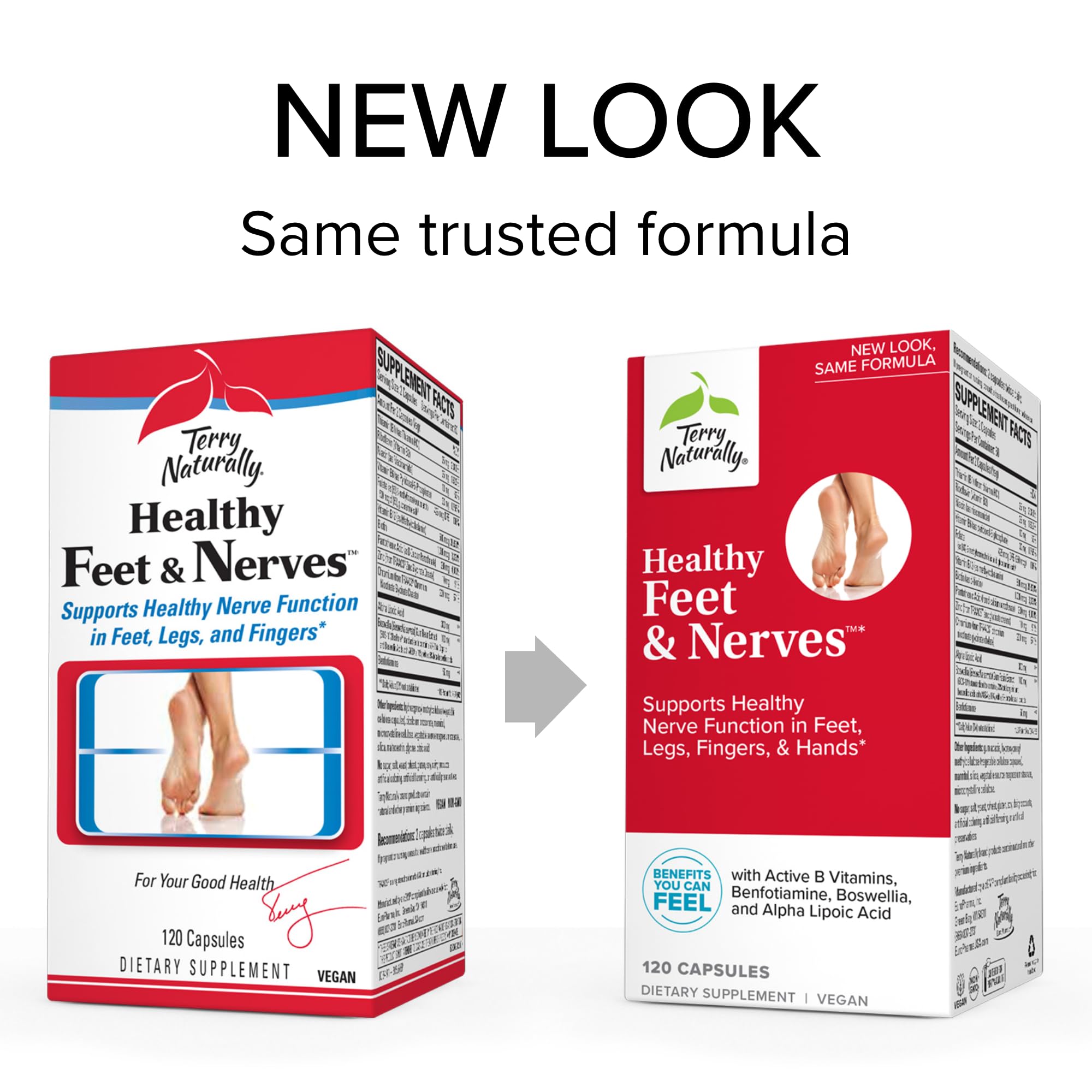 Terry Naturally Healthy Feet & Nerves Supplement - Vegan Capsules with Bioactive B12 & Boswellia Serrata for Circulation & Nerve Support - 120 Capsules (2-Pack) | Foot Comfort & Neuropathy Relief for Active Lifestyles