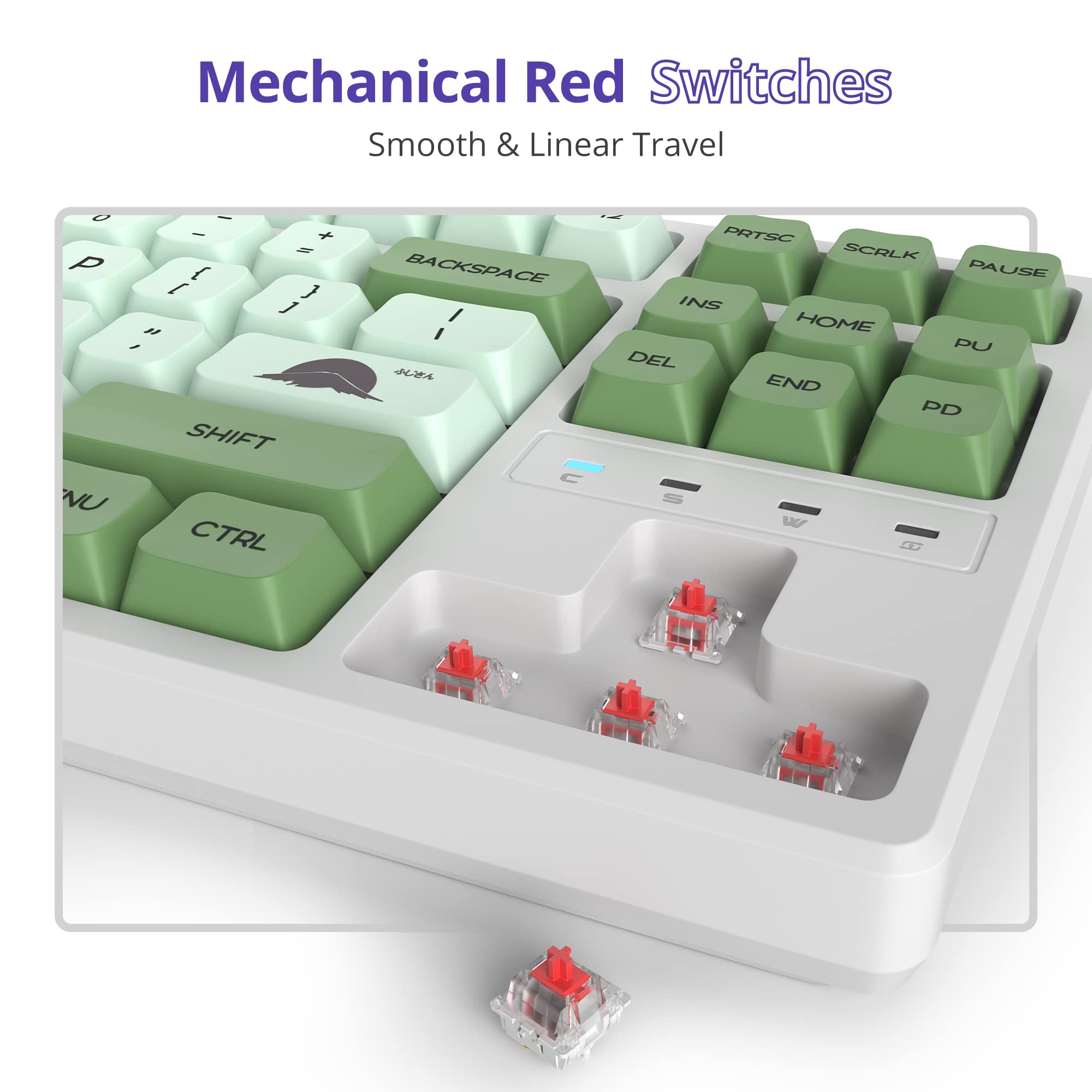 Fogruaden 75% Mechanical Keyboard with Red Switch, RGB Backlit Gaming Keyboard, 87 Keys Compact TKL Wired Keyboard for PC, Mac, Windows - Matcha Green | Perfect for Gaming, Typing & Office Work