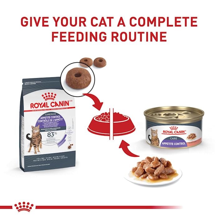 Royal Canin Appetite Control Spayed/Neutered Dry Cat Food for Adult Cats - 6 lb Bag - Weight Management Kibble for Indoor Cats with Reduced Activity