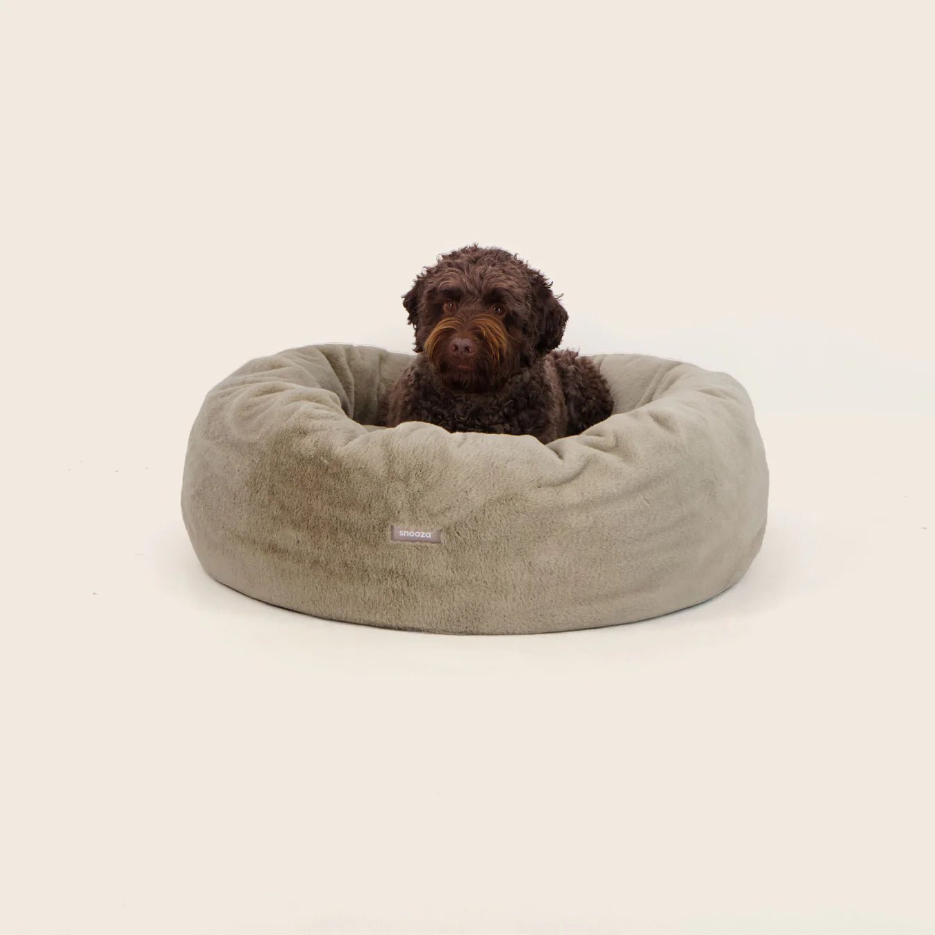Premium Orthopedic Dog Bed for Large Dogs - Memory Foam Support, Waterproof & Washable Cover - Sage Green - Perfect for Pets with Joint Pain, Arthritis, or Senior Dogs - Ideal for Living Room, Bedroom, or Crate Use