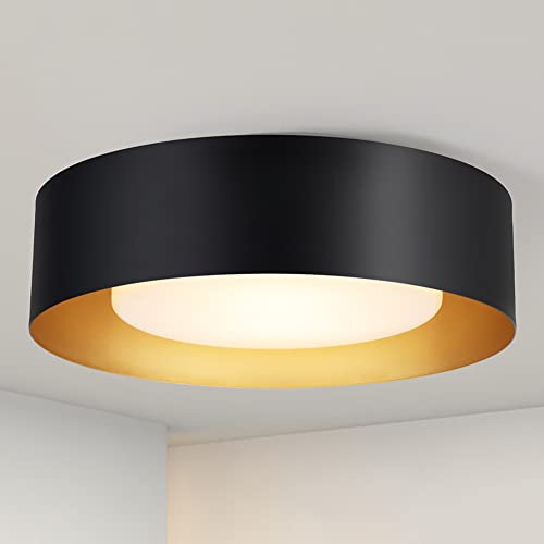Black and Gold-Glass