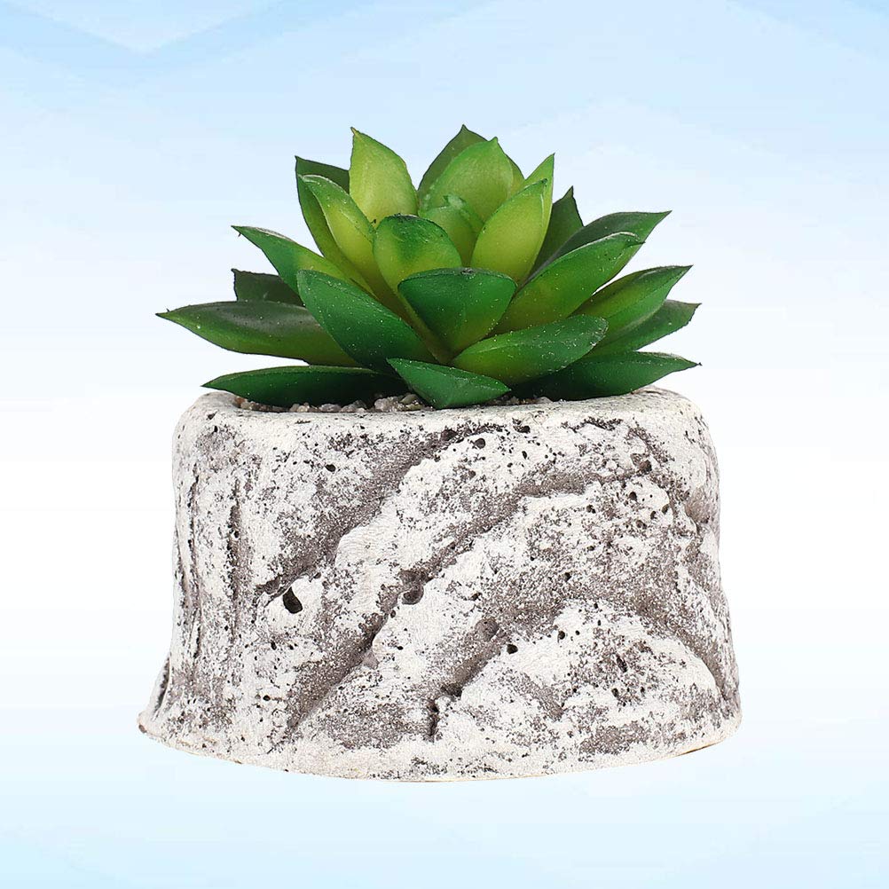 VICASKY Decorative Succulent Plant Pots - Ceramic Flower Pots for Cactus, Aloe Vera, Small Plants - Perfect for Home, Office, Garden Decor and Gift Ideas