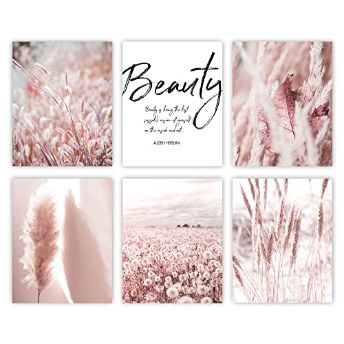 Beauty