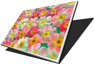 Acer Aspire V5 531 4636 15.6