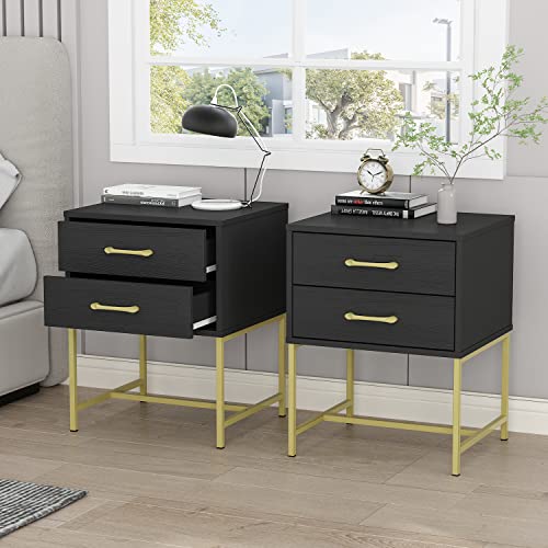 2 Drawer - Black