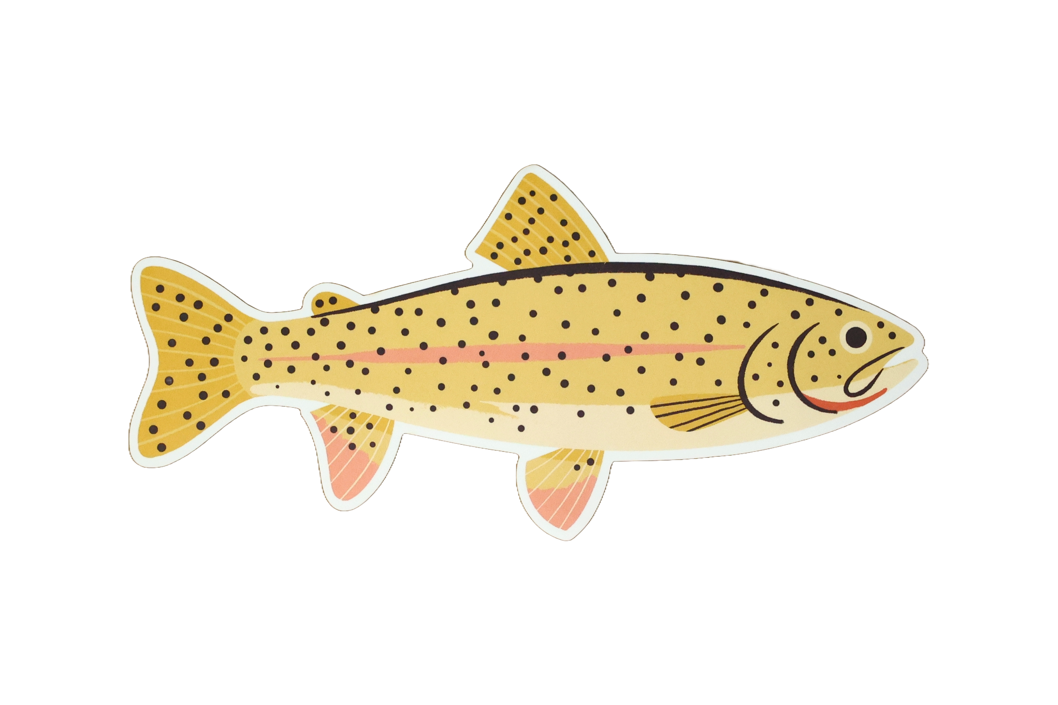 Native Trout Sticker - Waterproof Vinyl Decal for Fishing Gear, Coolers & Outdoor Equipment - Perfect for Anglers & Nature Lovers