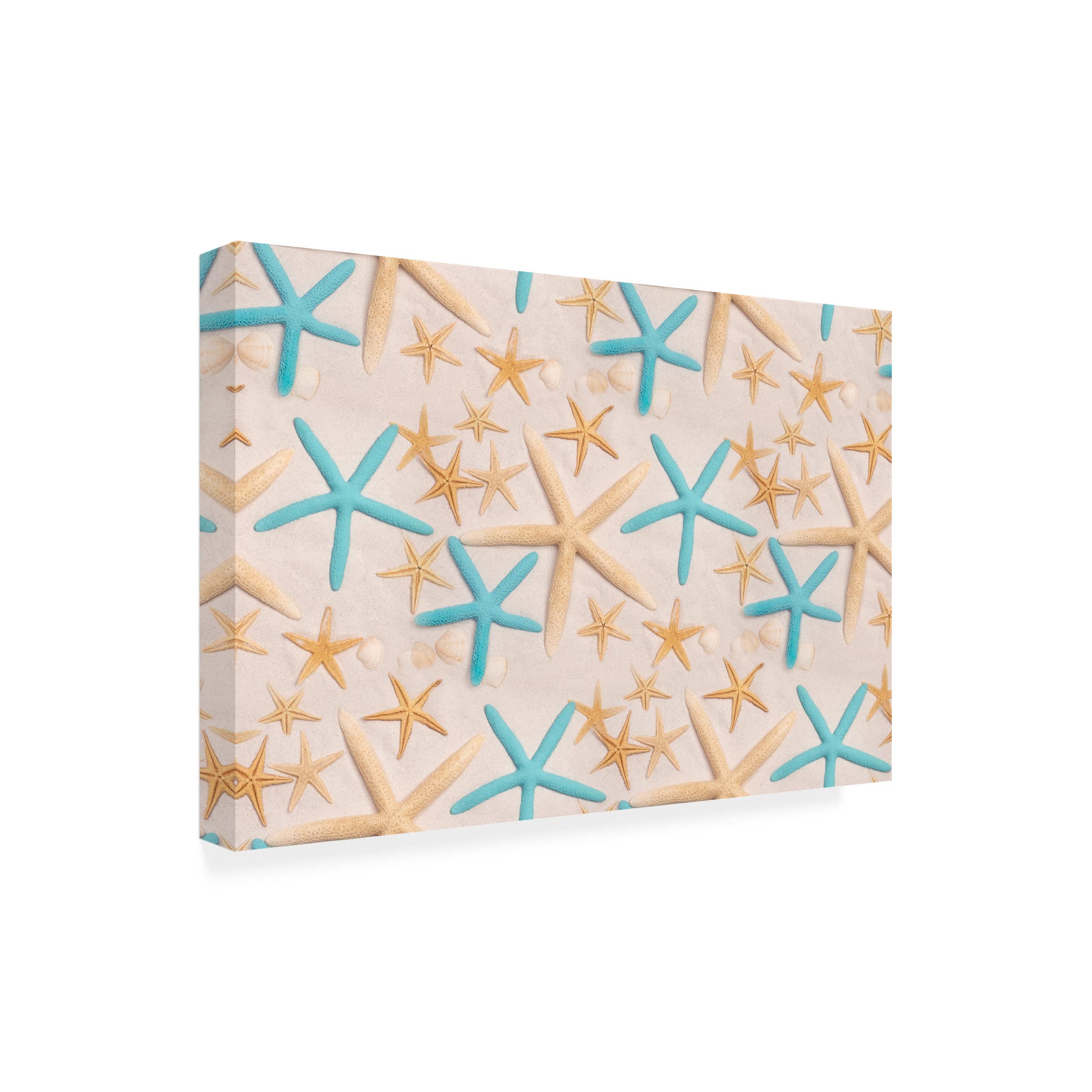 Trademark Fine Art 'Starfish Tossed on Sand' Canvas Wall Art by Cora Niele - Beach Themed Decor for Living Room, Bedroom & Coastal Home Decor