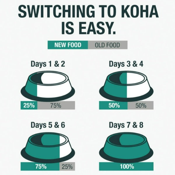 KOHA LID Chicken Pate Grain-Free Canned Cat Food - Limited Ingredient Diet for Sensitive Stomach - Perfect for Indoor Cats & Kittens with Food Allergies