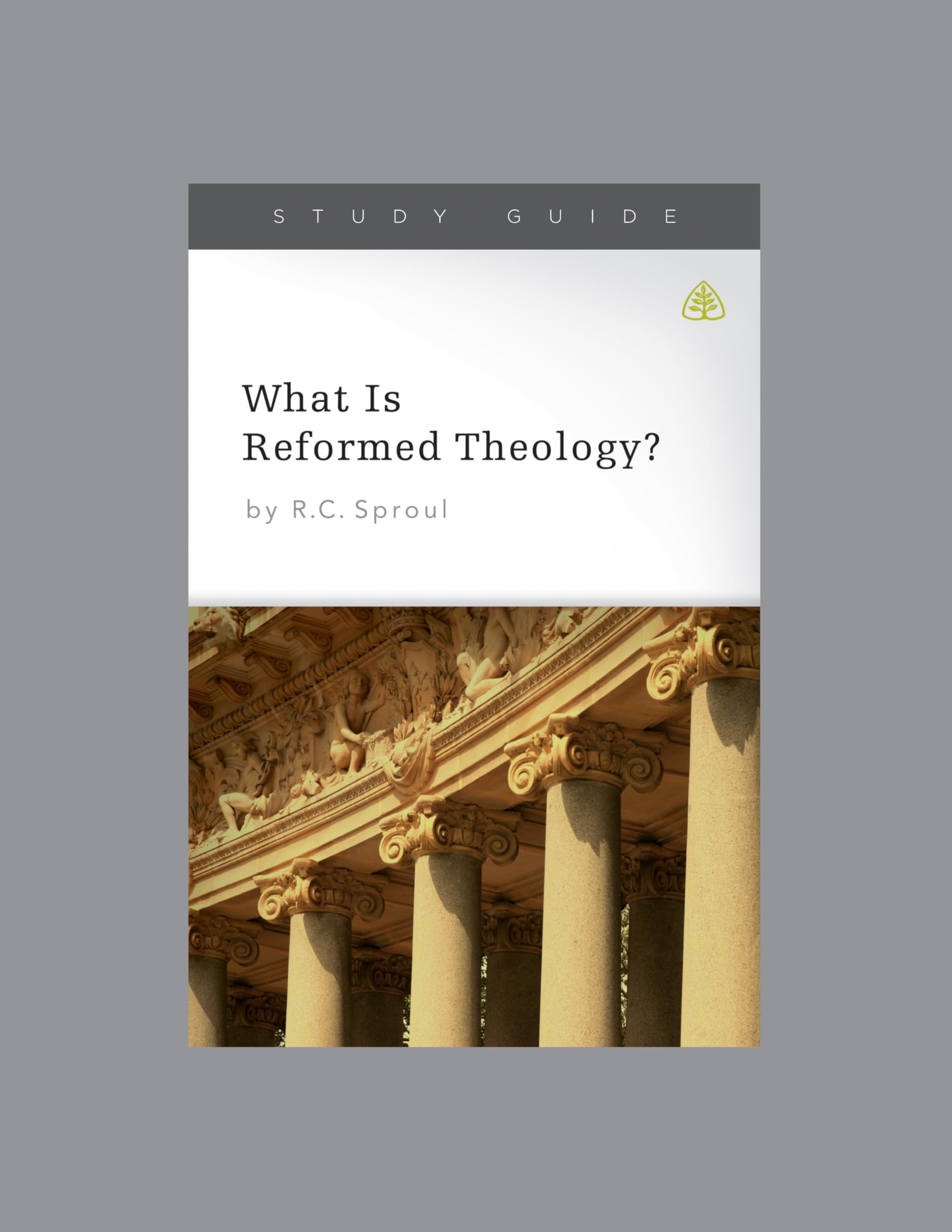 What Is Reformed Theology? - Study Guide & Teaching Series for Bible Study, Small Groups, and Personal Devotion