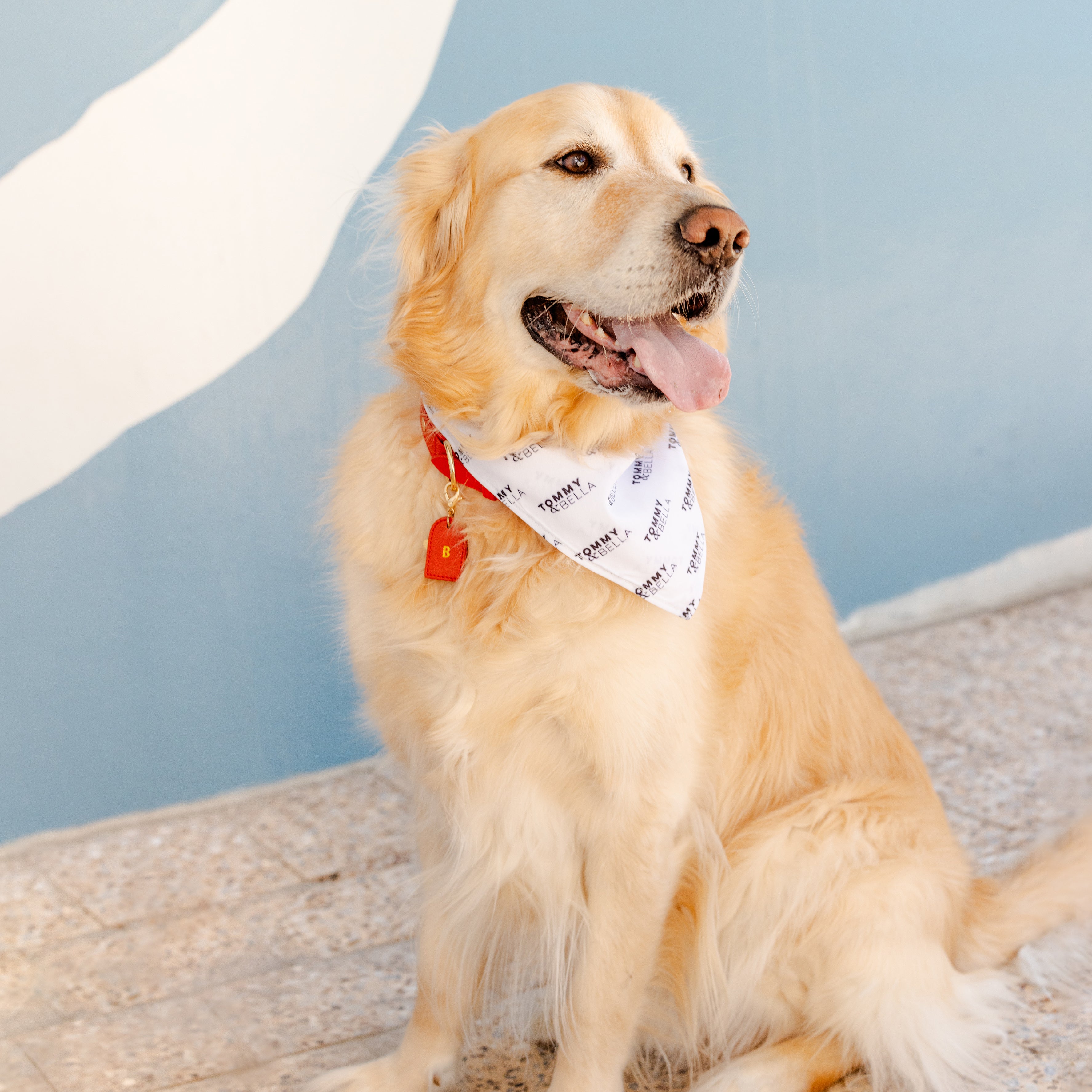 White Dog Bandana with Custom Logo - Stylish & Comfortable Pet Accessory for Walks, Photos & Special Occasions