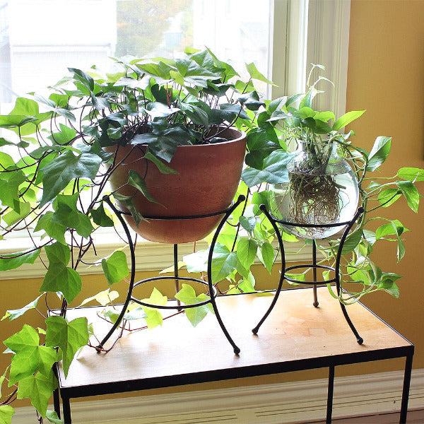 Achla Designs Multi-Purpose Stand for GBS 20 & GBS 21 - Perfect for Office, Home, and Studio Use