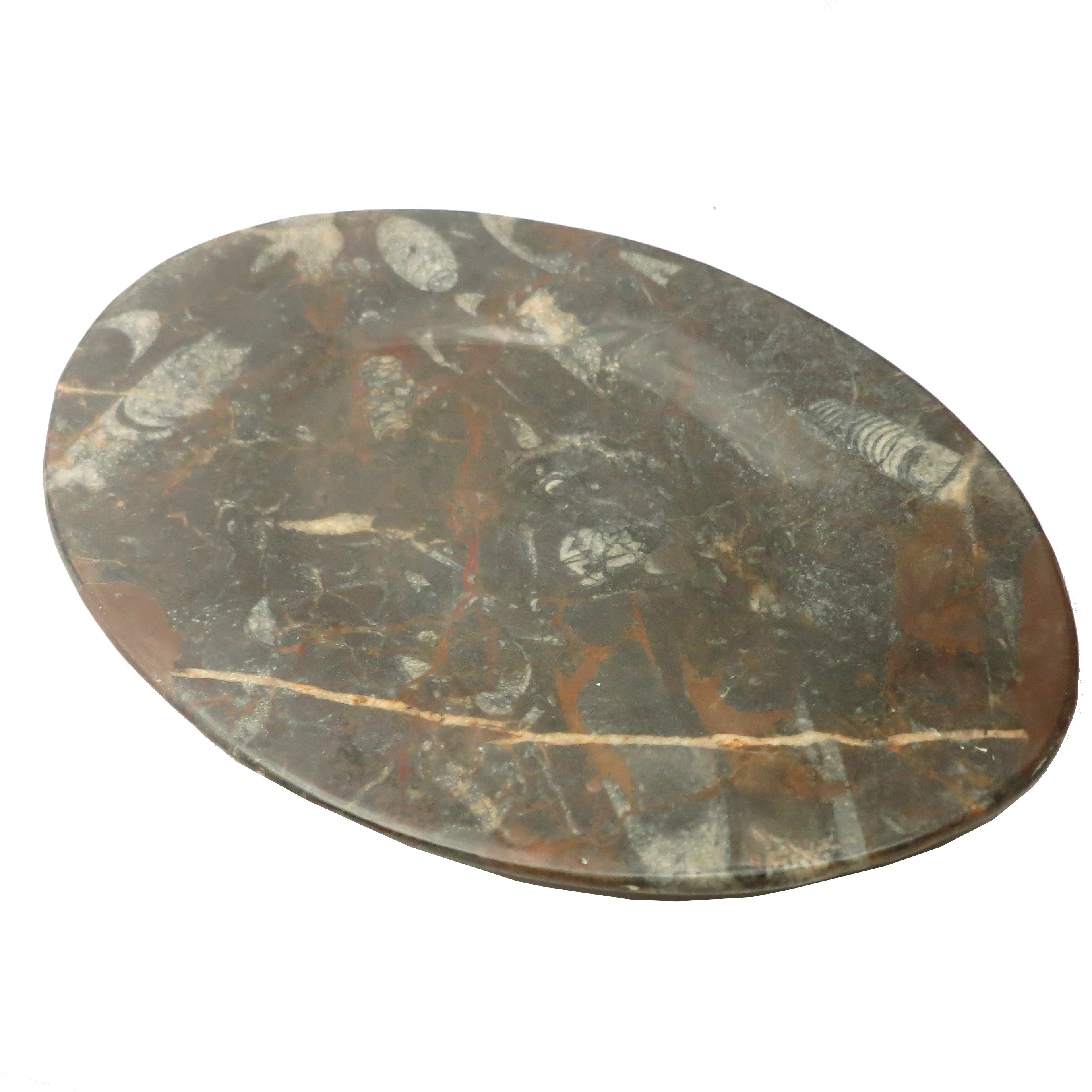 Orthoceras Fossil Black Stone Oval Serving Platter - Elegant Hostess Tray for Entertaining, Dinner Parties & Home Decor