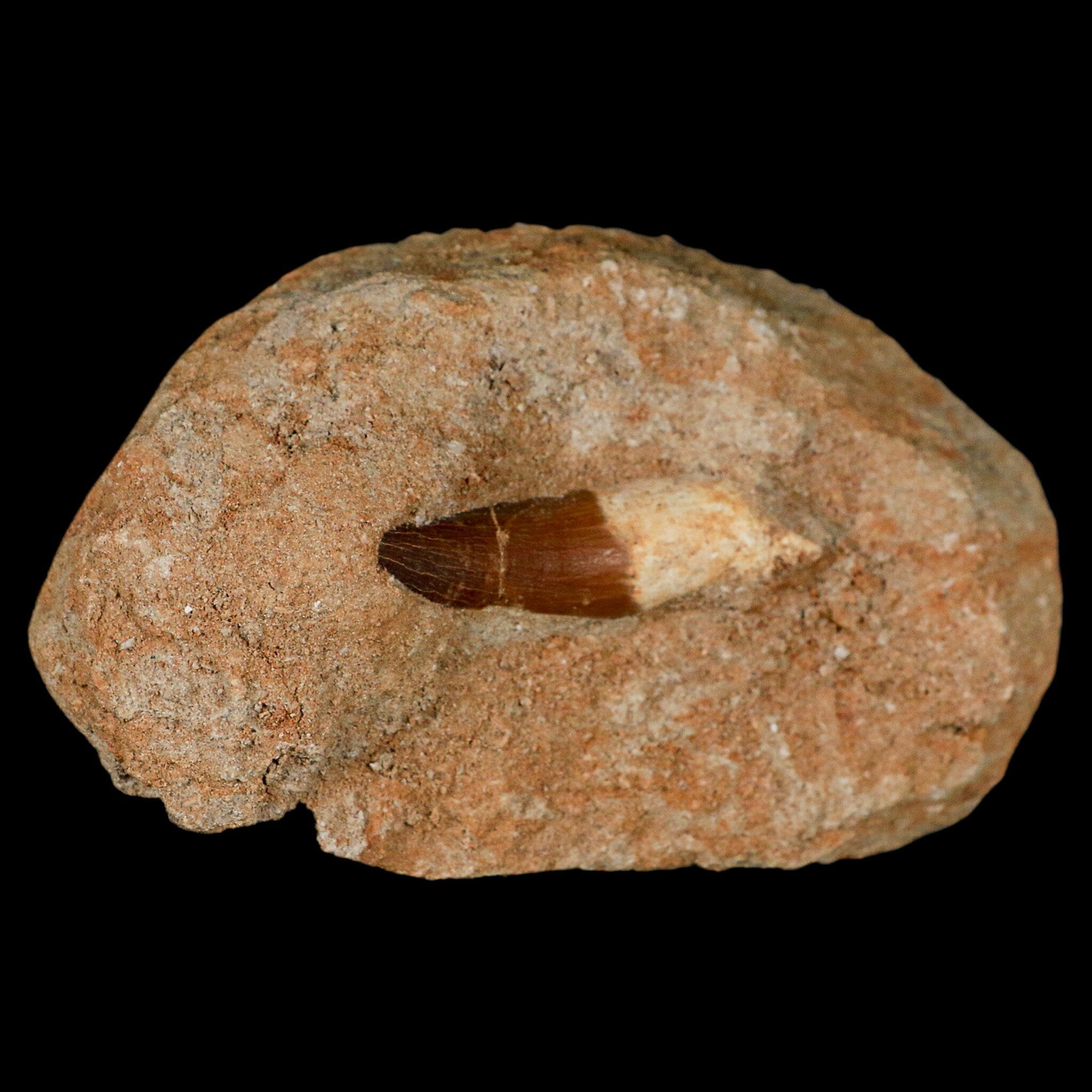 1.7