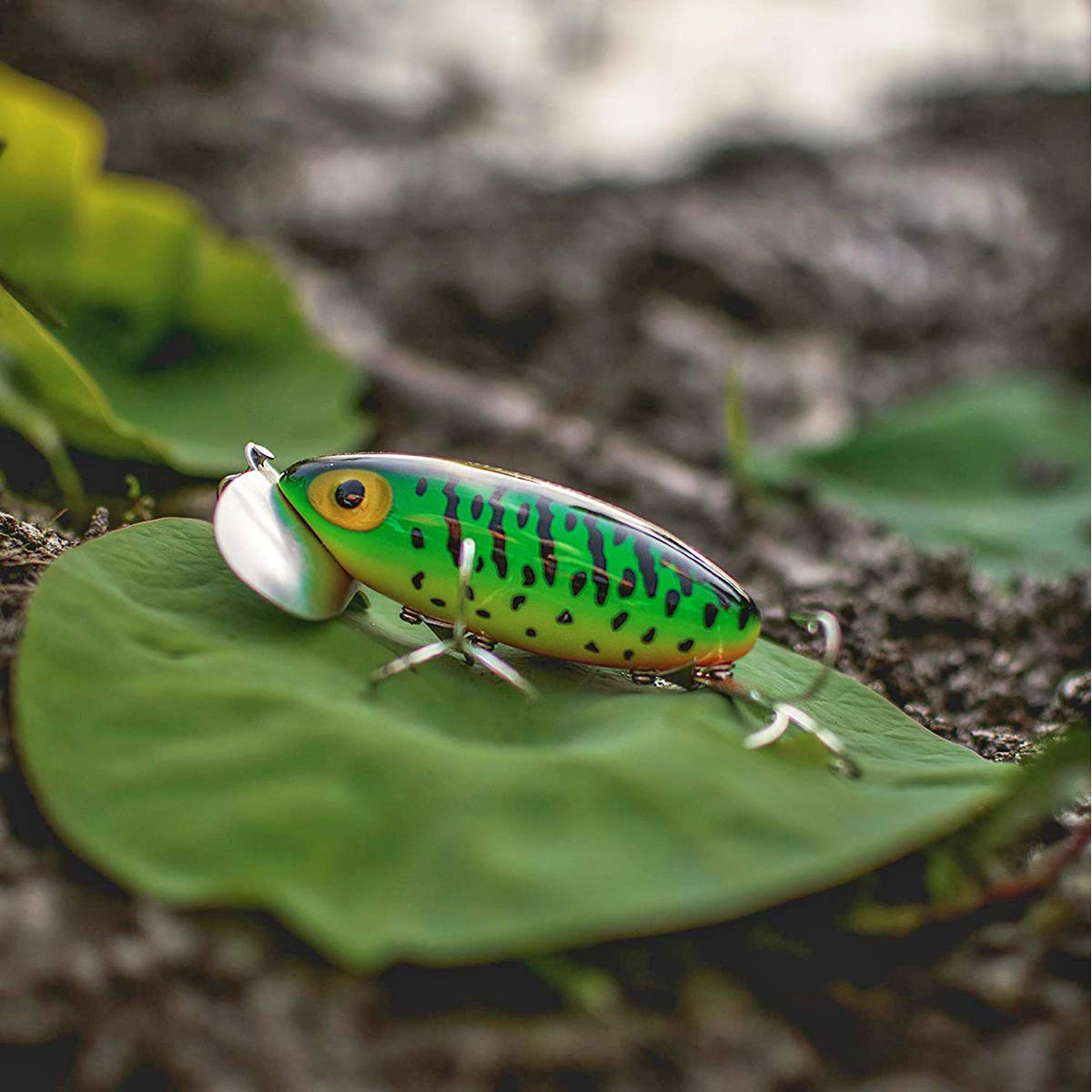 Jitterbug Fishing Lure - 1/4 oz Red/White Color - Topwater Bass Fishing Bait for Freshwater & Saltwater