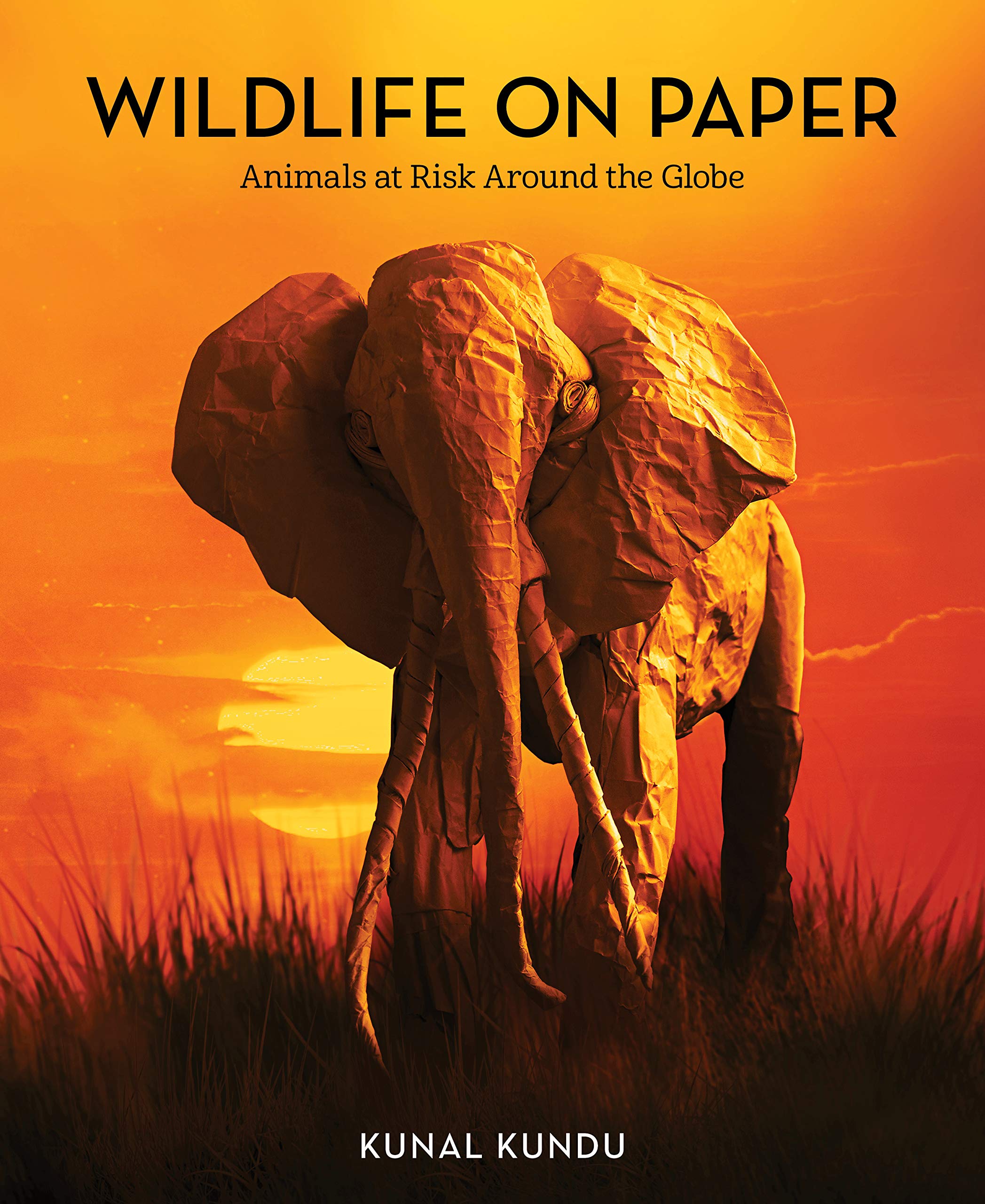 Endangered Wildlife Art Prints: Stunning Animal Conservation Posters for Home & Office Decor | Protect Global Species