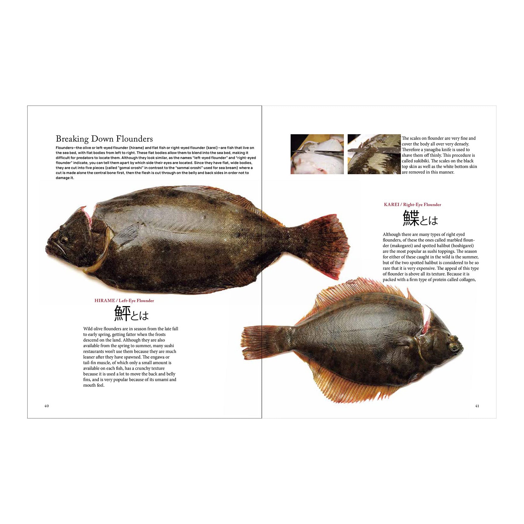 The Art and Science of Sushi Making: Complete Guide to Ingredients, Techniques & Tools for Home Chefs | Perfect for Dinner Parties & Japanese Cuisine Lovers