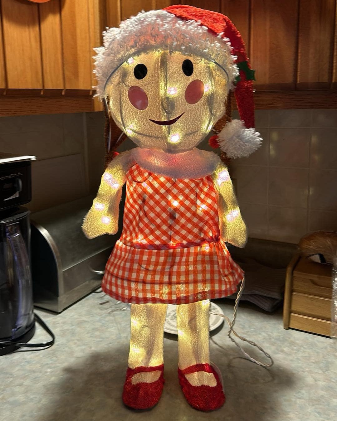 24 Misfit Sally Tinsel Outdoor Christmas Decorations - Inspired by Rudolph the Red-Nosed Reindeer - Perfect for Yard, Porch & Holiday Party Decor