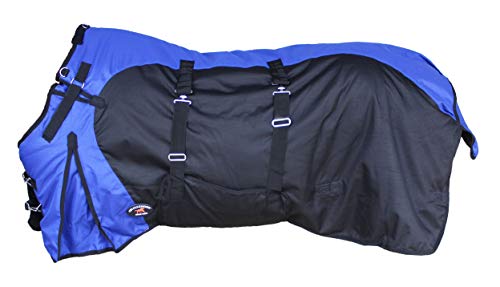 Royal Blue Black