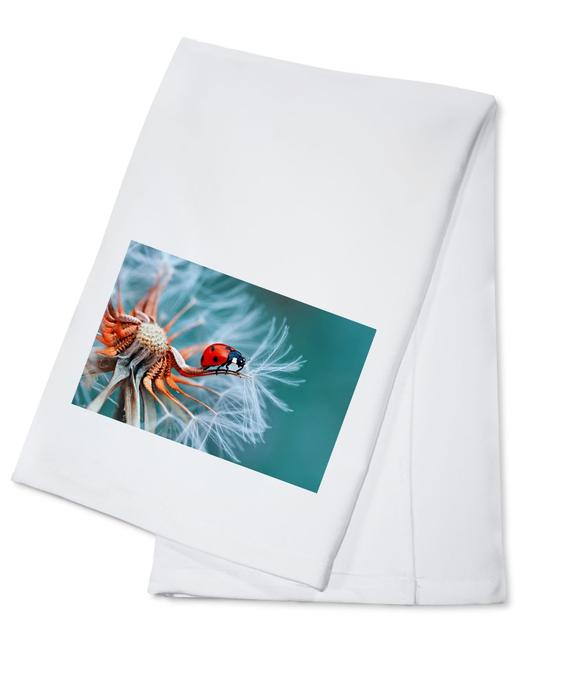 Ladybug on Dandelion - 100% Cotton Tea Towel Set | Decorative Hand Towels for Kitchen & Home Decor | Perfect for Farmhouse, Cottagecore & Spring Themed Decor