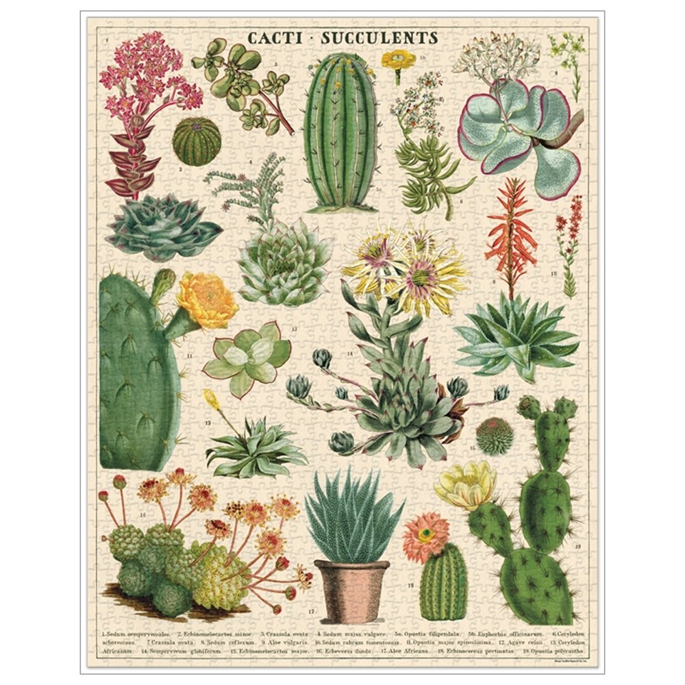 1000 Piece Cactus and Succulent Jigsaw Puzzle - Desert Plant Theme for Adults & Teens - Perfect for Relaxation, Home Decor & Family Game Night