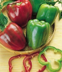 California Wonder Sweet Pepper Seeds - Non-GMO Heirloom Vegetable Bulk Pack of 3,000 Seeds for Home Gardening, Canning & Fresh Eating