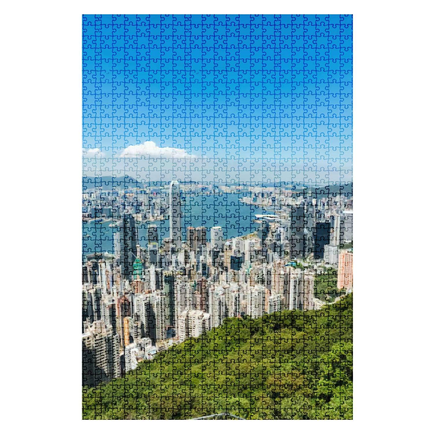 1000-Piece Wooden Jigsaw Puzzle - Hong Kong Water City Landscape - Challenging Adult Puzzle Game - DIY Educational Toy for Kids & Adults - Home Decor Gift for Puzzle Lovers (Perfect for Family Game Night, Stress Relief & Brain Training)