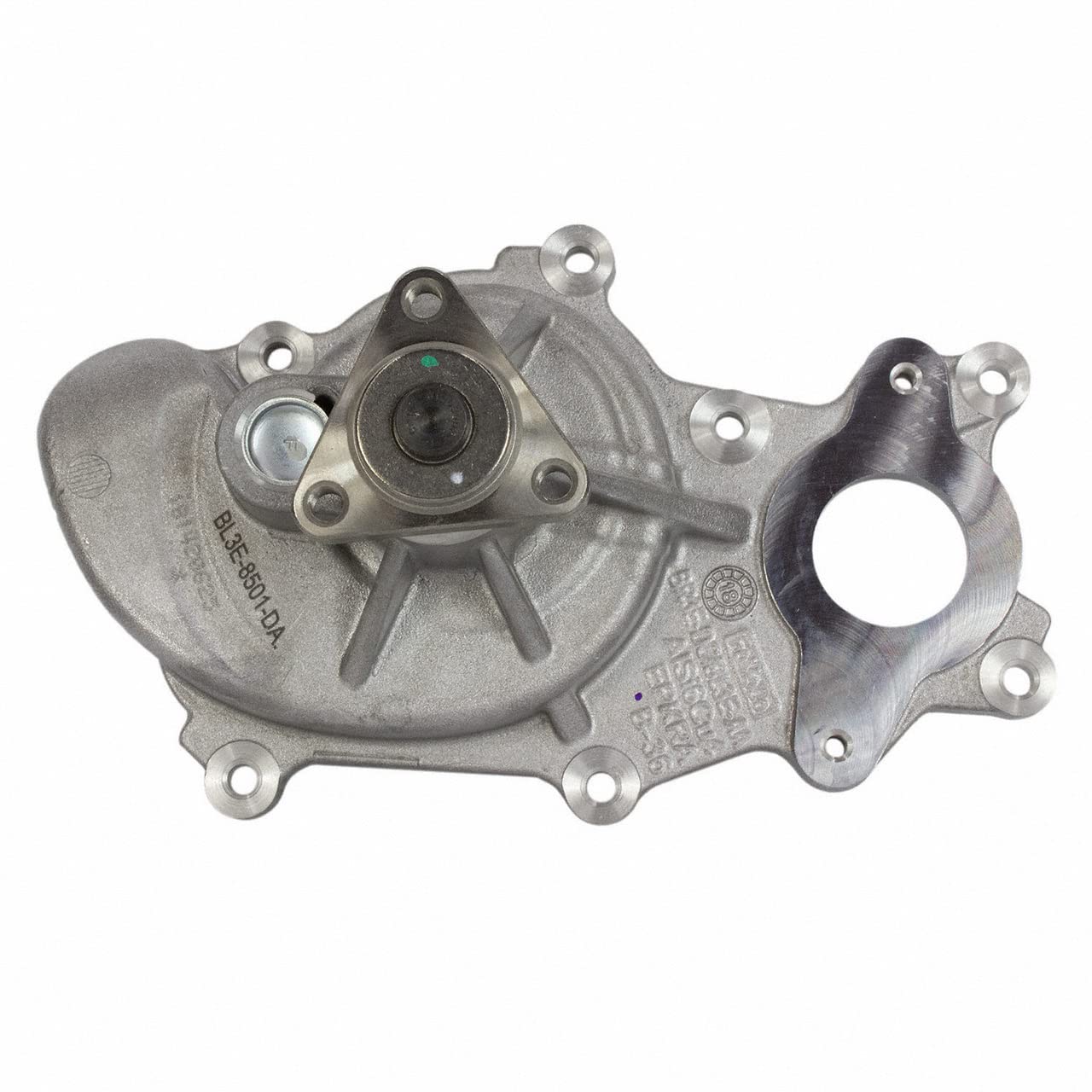 Motorcraft PW568 Water Pump Assembly - Replacement for Ford, Lincoln, Mercury Vehicles - High Performance Cooling System Part for Engine Protection