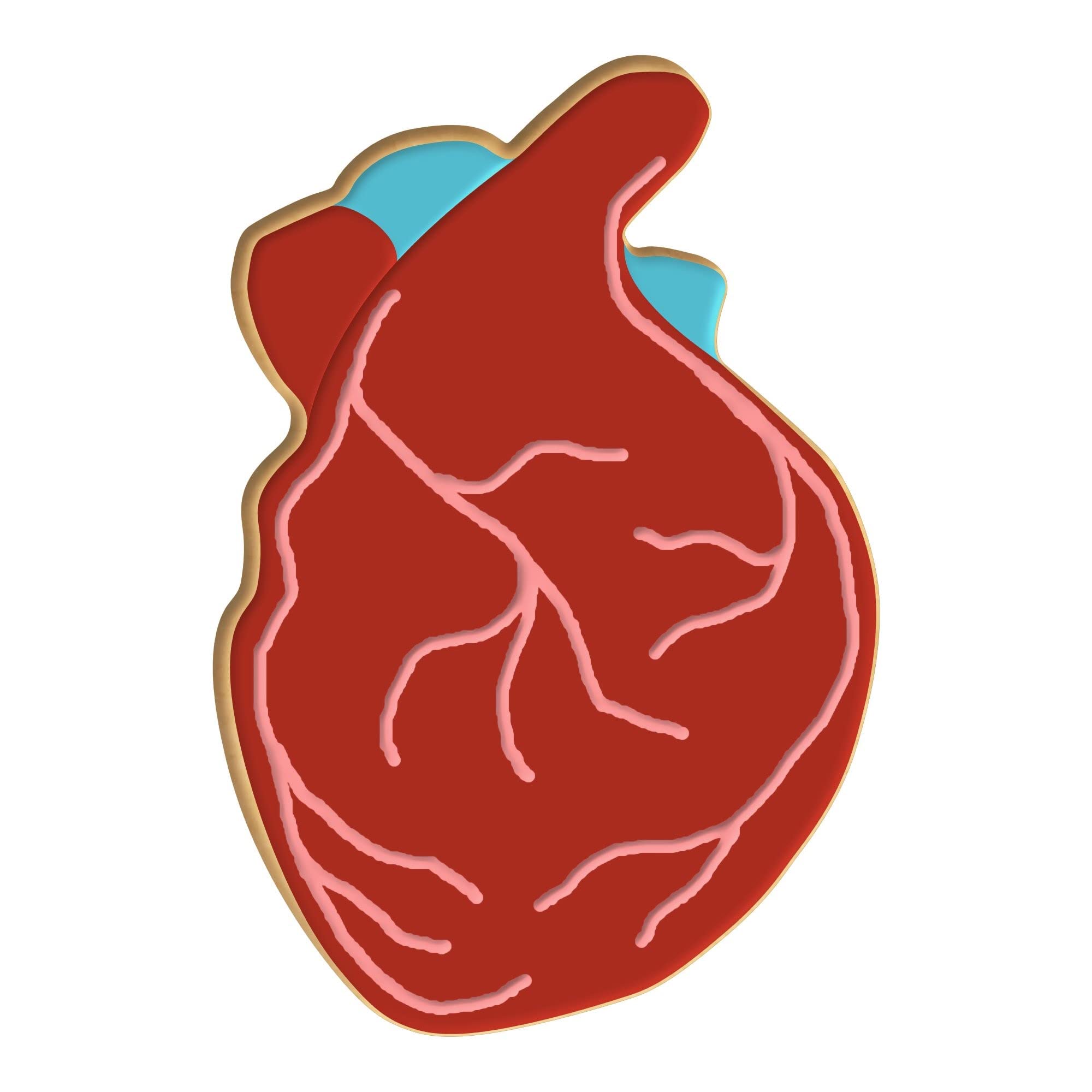 3.5 Inch Anatomical Heart Cookie Cutter - Premium Plastic 3D Baking Tool - Handmade in USA - Perfect for Valentine's Day, Medical Themed Parties & Science Classroom Activities