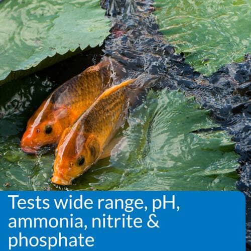 API Pond Master Liquid Test Kit - Accurate Water Testing for Ponds & Koi Fish | Monitor pH, Ammonia, Nitrite & Nitrate Levels | Ideal for Garden Ponds, Water Features & Aquaculture