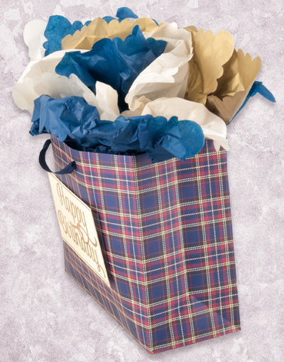 Classic Plaid Birthday Gift Bags - Premium Party Favor Bags for Birthdays, Baby Showers & Special Occasions