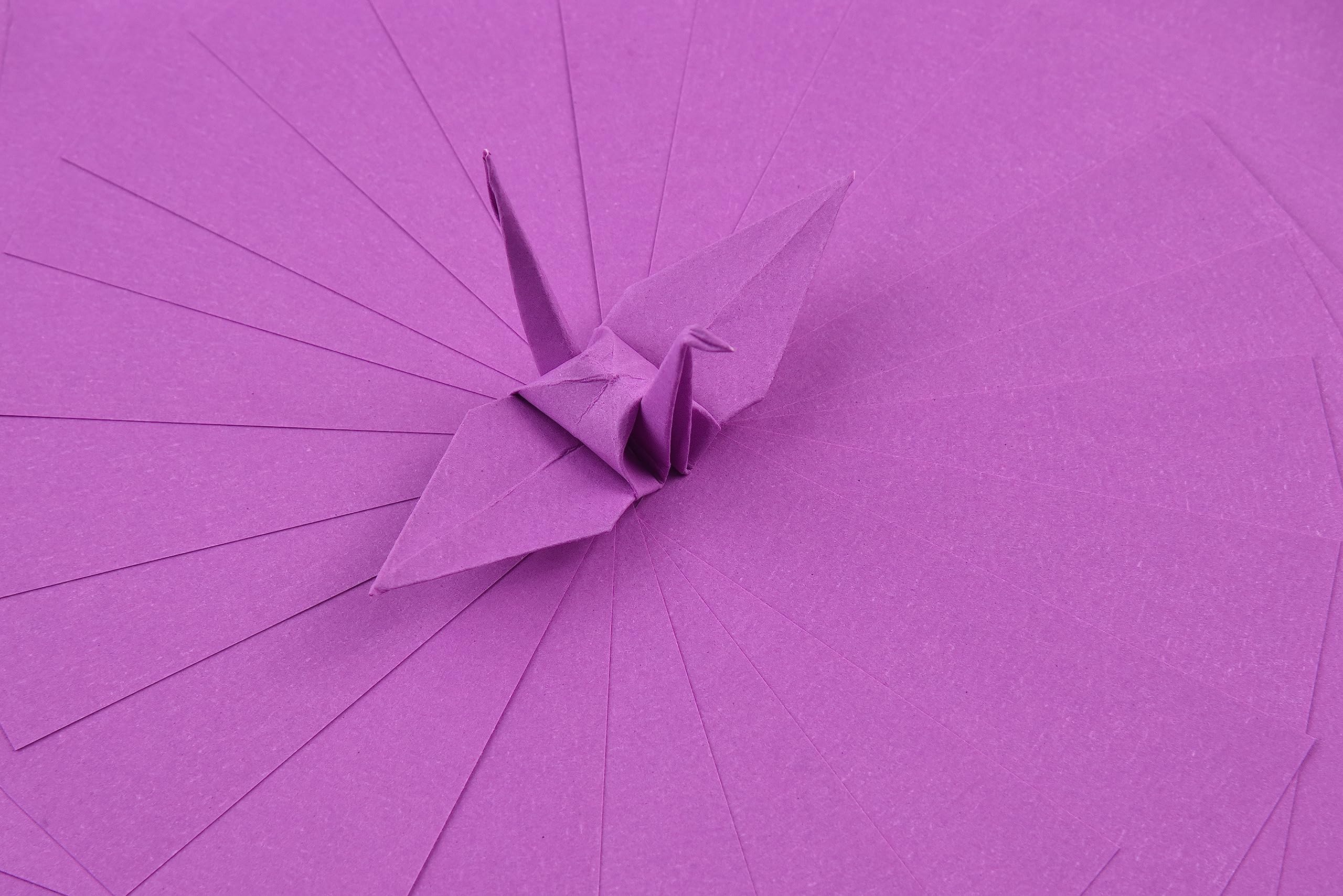 Origamipolly 100 Sheets Double-Sided Fuchsia Purple Origami Paper - 3x3 Inch Square Easy Fold Paper for Origami Cranes, DIY Crafts, Scrapbooking & Gift Wrapping - Perfect for Kids, Beginners & Art Projects (S08 Fuchsia Purple)