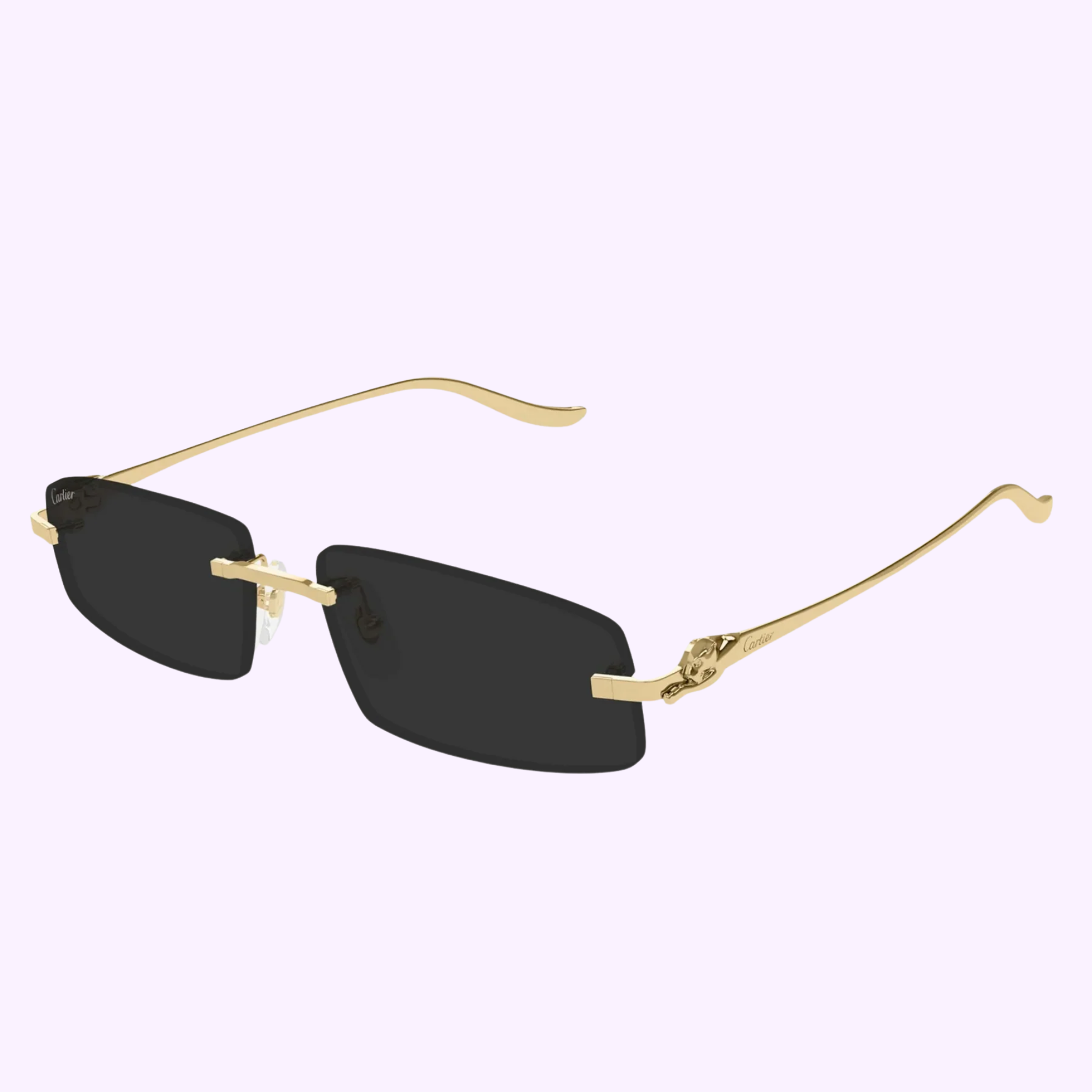 Cartier CT0505S 001 Sunglasses - 58mm UV Protection Luxury Designer Shades for Men & Women | Perfect for Outdoor Activities, Travel, and Fashion Accessories