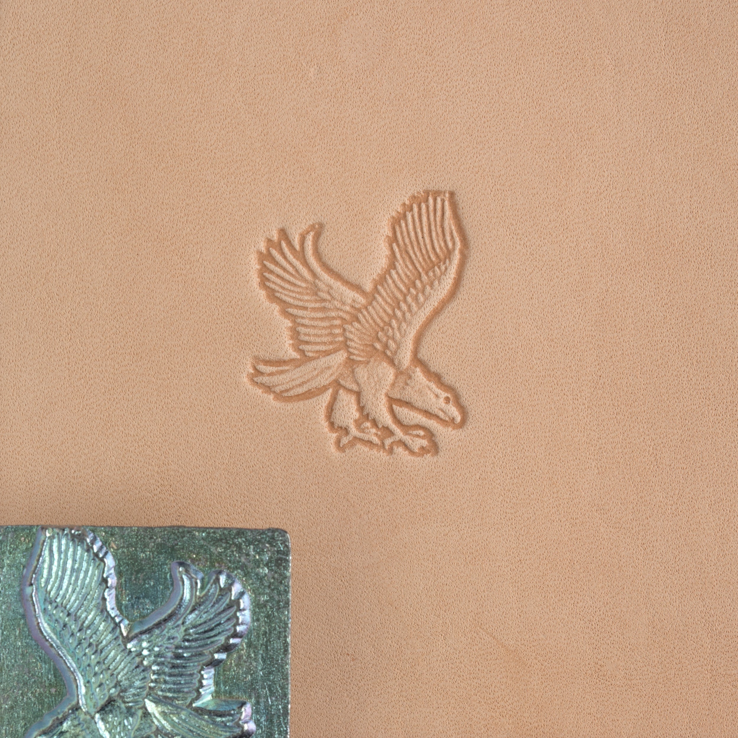 Craftool® Eagle Stamp Head - Metal Stamping Tool for Leather Crafting, DIY Jewelry Making, and Scrapbooking - Perfect for Handmade Gifts & Leatherworking Projects