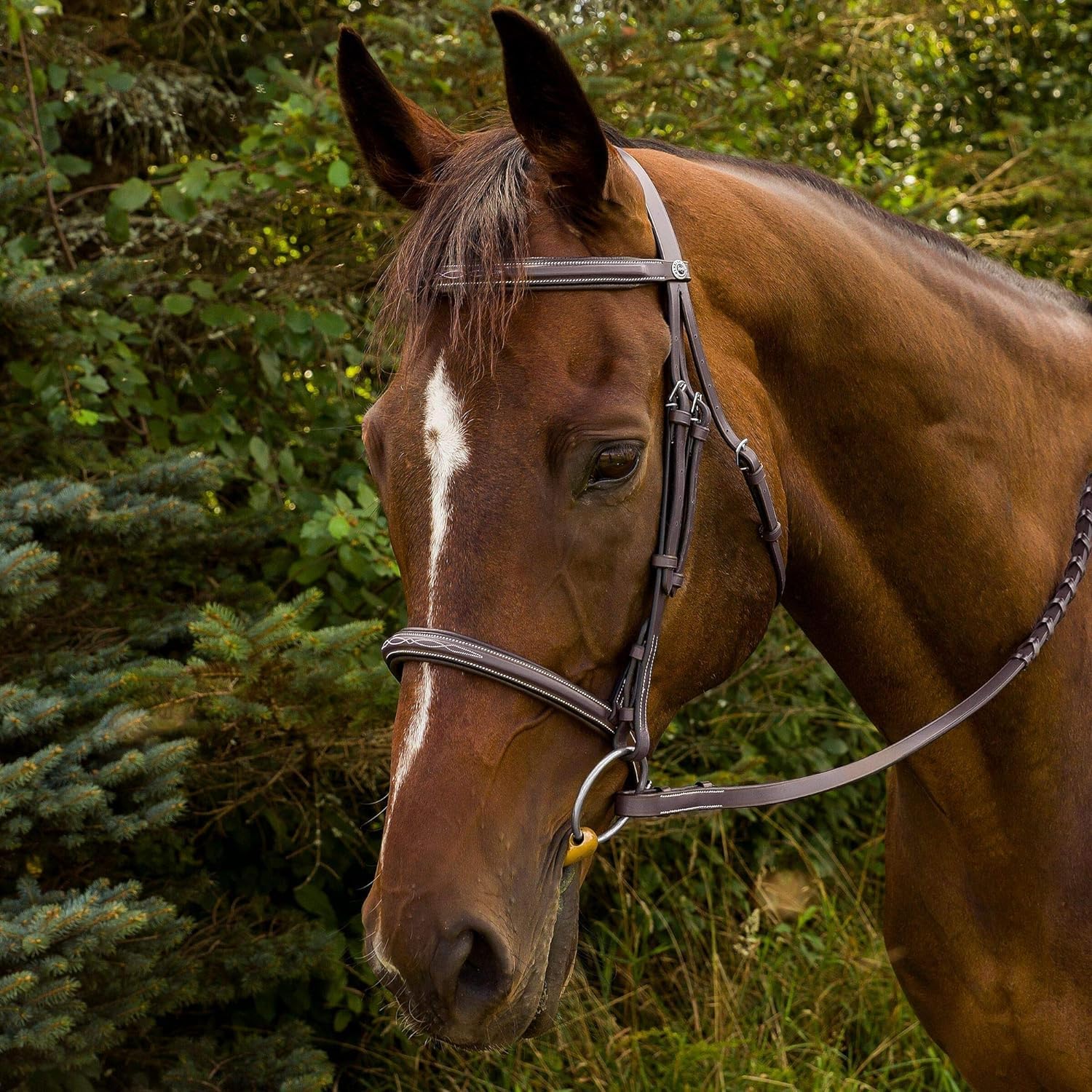 Henri de Rivel Advantage Horse Fancy Raised Padded Bridle with Laced Reins - Premium Equestrian Bridle for Dressage & Show Jumping | Comfortable Padded Design for Training & Competition