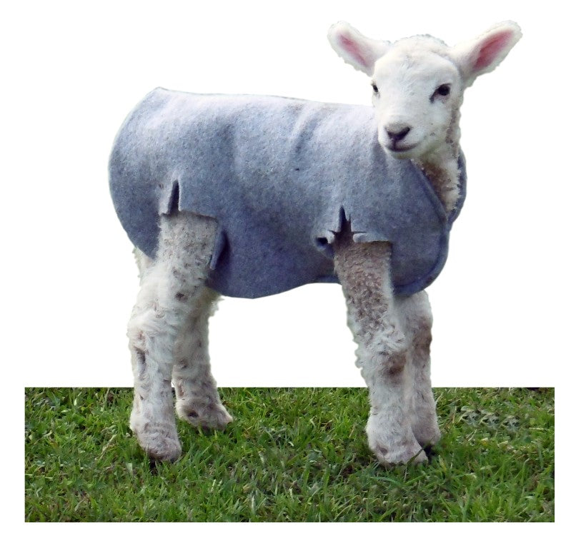 Warm & Soft Lamb Fur Coat for Women - Winter Fashion Outerwear for Cold Weather | Perfect for Casual Outings & Holiday Parties