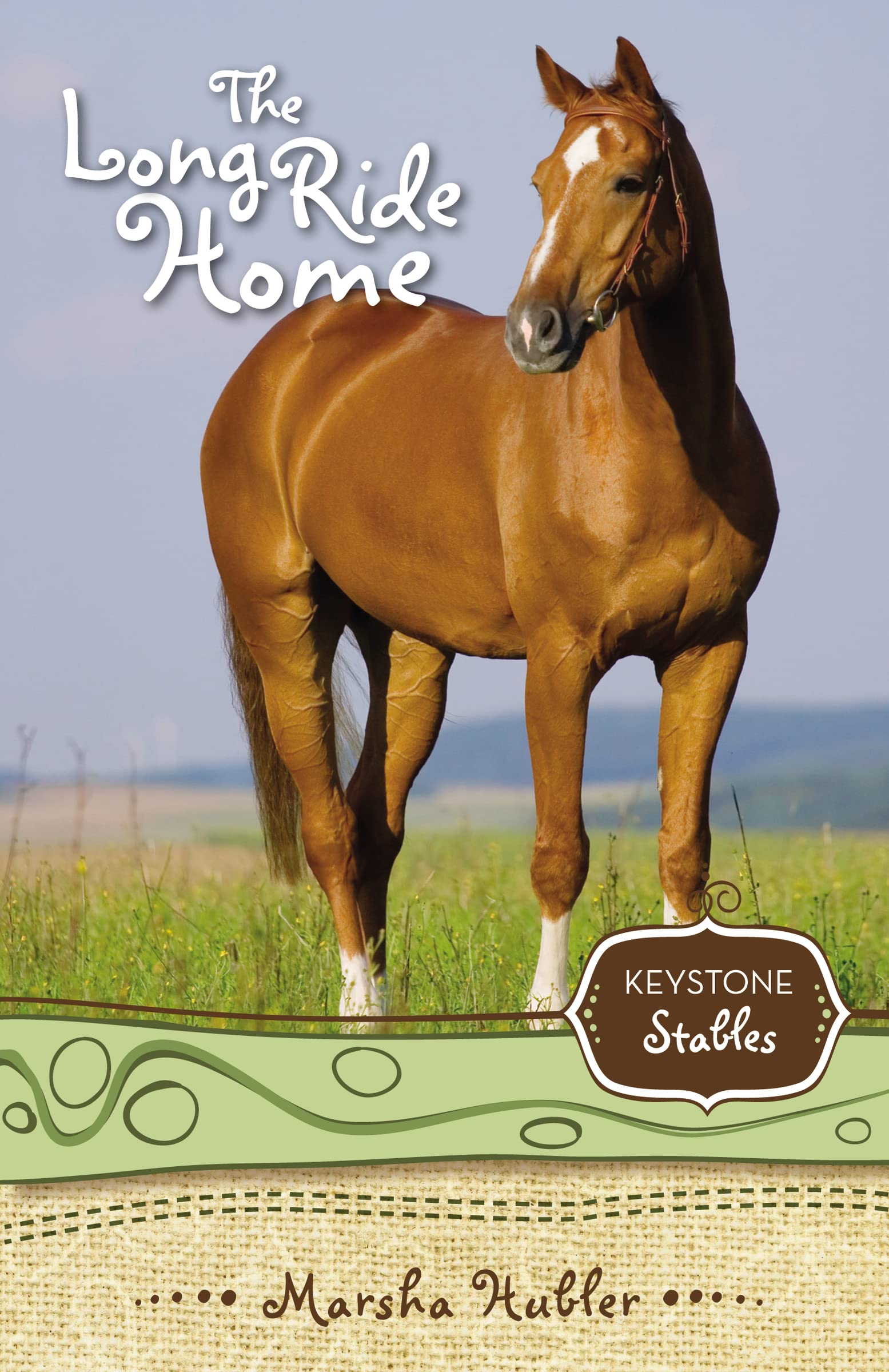 The Long Ride Home (Book 8) - Keystone Stables Series - Christian Teen Horse Fiction - Perfect for Young Readers & Horse Lovers - Great for Bedtime Reading & Book Clubs