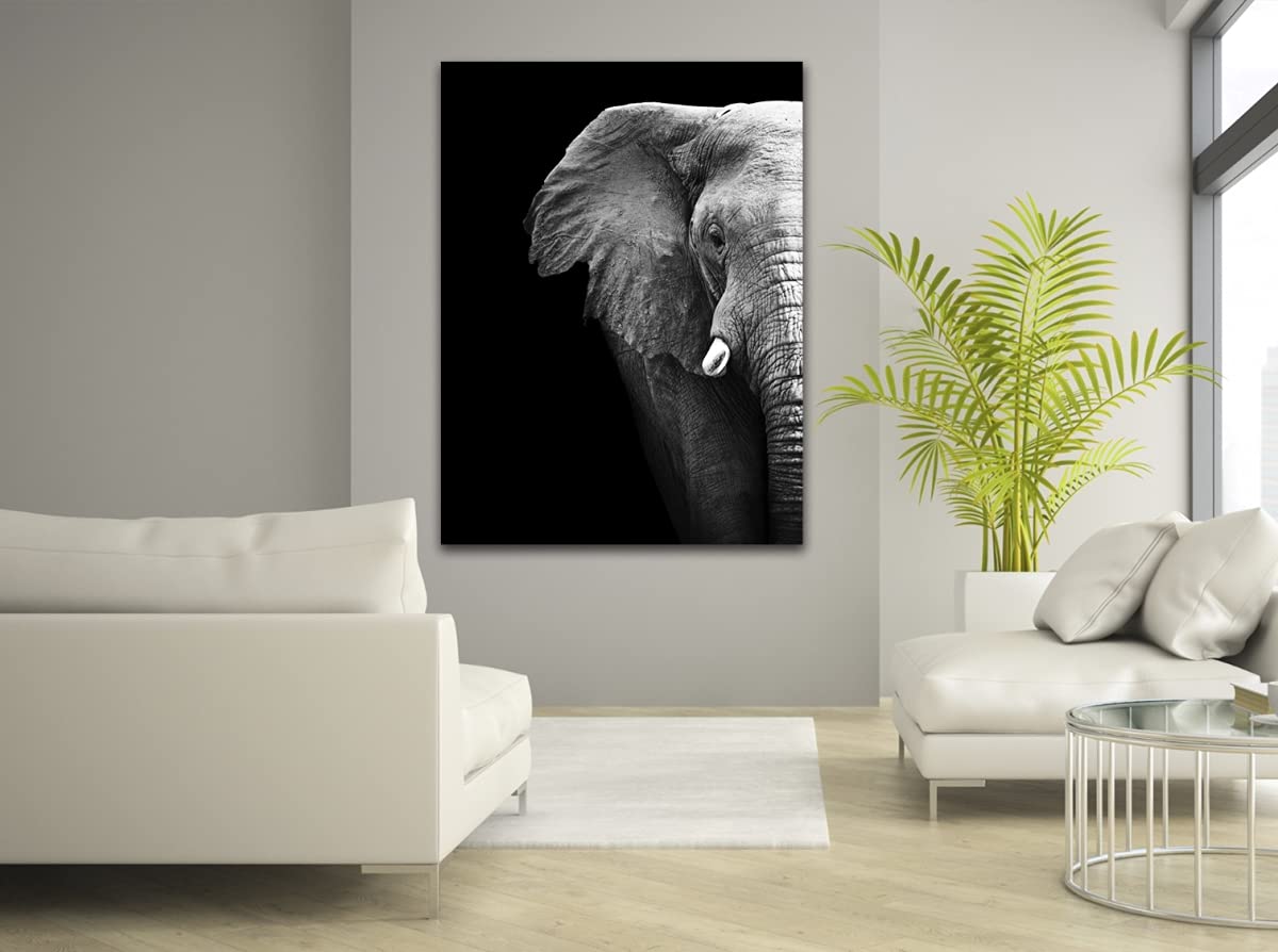 Elephant Profile Photography Canvas Art - 30x40 Inches, Wildlife Wall Decor for Living Room, Bedroom & Office - Premium C-30401972