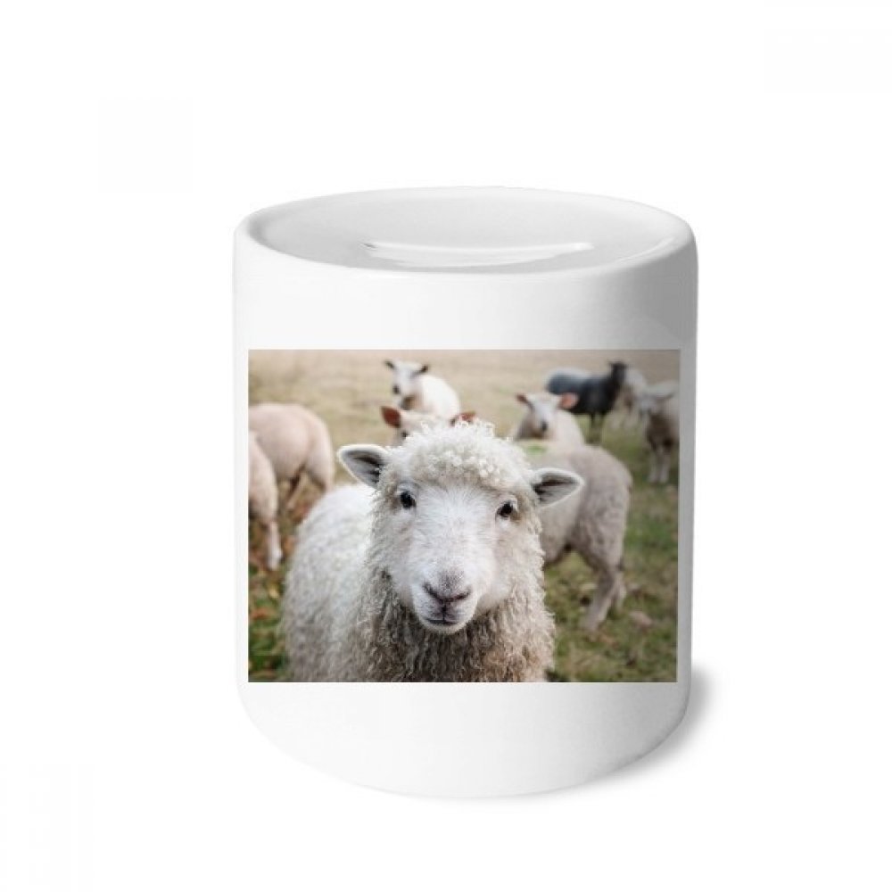 DIYthinker Ceramic Piggy Bank - Cute Sheep Animal Design Coin Box for Saving Money | Perfect Gift for Kids, Home Decor & Office Use