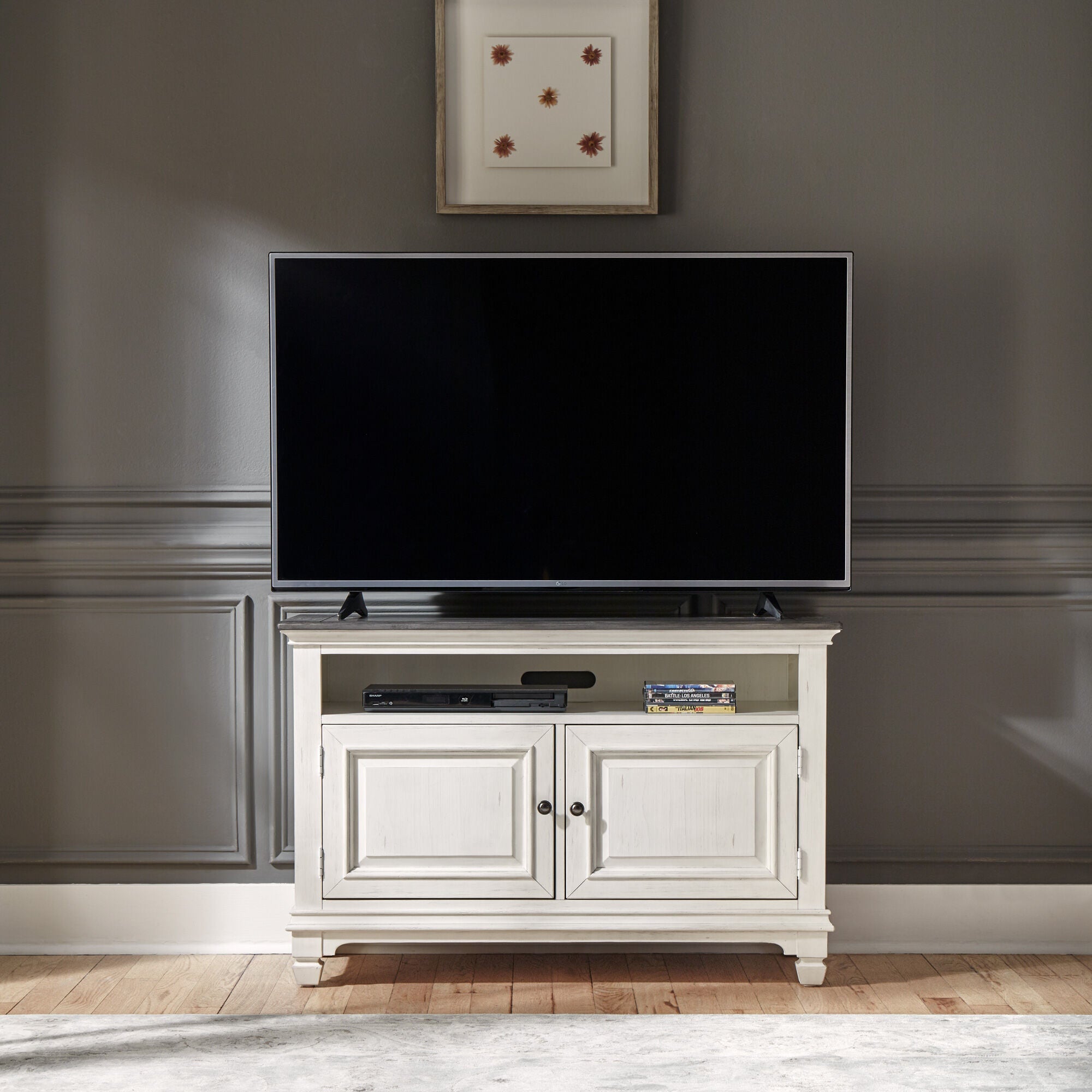 46 Inch TV Stand with Storage - Modern Entertainment Center for Living Room, Bedroom & Home Theater - Allyson Park TV Console