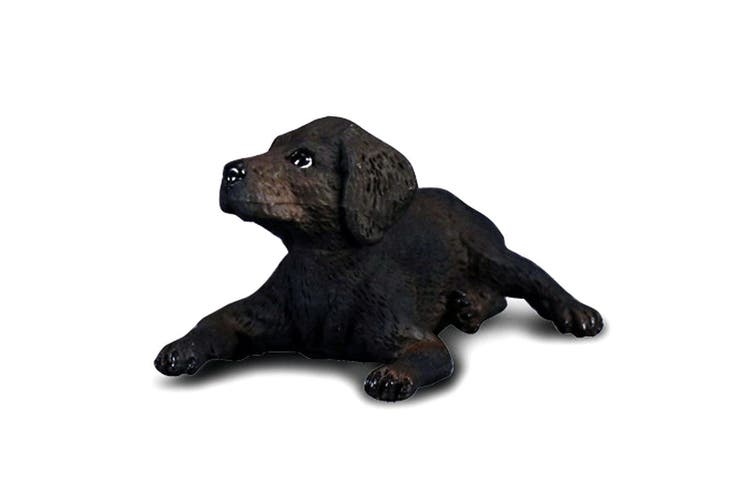 CollectA Labrador Retriever Puppy Dog Figurine - Realistic Toy Dog Model for Kids Play, Collectibles & Home Decor